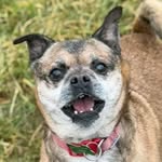Jane Grant Lord - @fudgethejug - Instagram