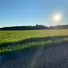 grantmanley711 - @grantmanley711 - TikTok