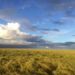 Grant Manning - @grant.r.manning - Instagram