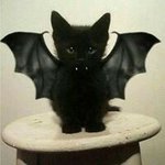 Grant Maxwell - @1crisspychicken - Instagram