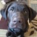 Grant McCloskey - Facebook