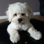 Grant McCulloch - @granto_mcculloch - Instagram
