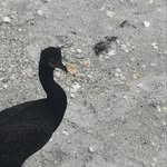Grant R McDaniel - @grantrmcdaniel - Instagram