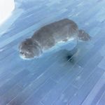Grant McGuire - @grant.mcguier - Instagram