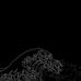 Grant McGuire - Facebook