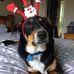 Grant McNeil - Facebook