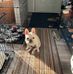 Grant McNeilly - Facebook