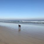 Grant McNeill - @gamcneill - Instagram