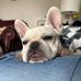 Grant McNeilly - Facebook