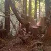 grant - @grant.miller - TikTok