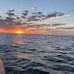 Grant Mellor - Facebook