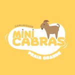 Mini-cabras Praia Grande - @minicabraspraiagrande - Instagram