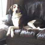 Grant Thomas Minor - @grantminorcpf - Instagram