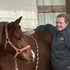 Amy Mott Grant - @amy.mott.grant - TikTok