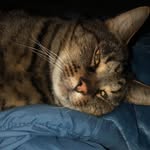 Grant Moyer - @gmoyer329 - Instagram