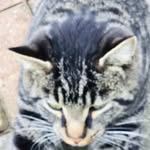 Grant Moyer - @moyergrant99 - Instagram