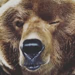 Grant Moyer - @the_funny_g - Instagram
