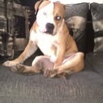 Grant Nevin - @grant_n_18 - Instagram