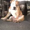 Grant Nevin New - @grantnevinnew - TikTok