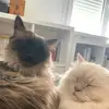 GrantandNorth - @grantandnorth - TikTok