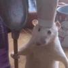 Grant Olson - @grant.olson0 - TikTok