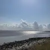 Grant_owen - @grant_owen2 - TikTok