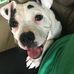 Grant Patterson - Facebook