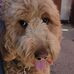 Grant Patterson - Facebook