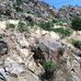 Grant Ranch Pool - Facebook