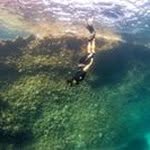 Grant Pringle - @grant.pringle12 - Instagram