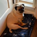 Grant Proctor - @grantproctor47 - Instagram