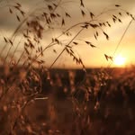 Grant - @grant.m.reichert - Instagram