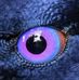 Grant Richardson - Facebook