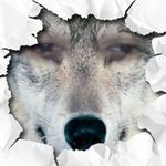 Grant Rider - @ridergrant - Instagram