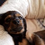 Fitzgerald Grant Rivera - @fitz_rivera - Instagram