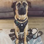 Grant A Sawyer - @grant_sawyer - Instagram