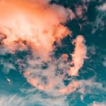 Grant Sawyer - @grantsawyer.tbhs - Instagram