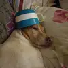 Grant Simmons - @grant.simmons - TikTok