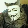 Grant Stanton - @grant.stanton5 - TikTok