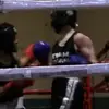 Grant Stern - @stern_boxing - TikTok