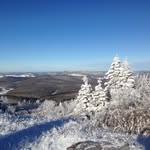 @grant_sterns04 - Instagram