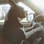 Grant Stevens - @grant.stevens.5621 - Instagram
