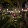 Grant Taylor - @granttaylor19 - TikTok
