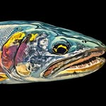 Fishsticks - @fishsticks_by_grantwahlin - Instagram