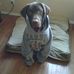 Grant Wahl - Facebook