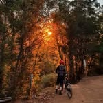 Grant Wallis - @grant.wallis.9 - Instagram