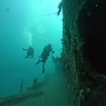 Grant Wallis - @wallis.grant - Instagram