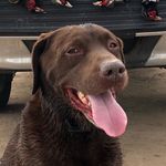 Grant Warfield - @grant.the.man.88 - Instagram