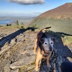 Dorinda Grant Warwick - @d.warwick1832 - Instagram