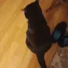 Grant..Warwick - @disabled.warrior - TikTok